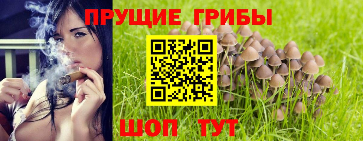 Псилоцибиновые грибы MAGIC MUSHROOMS  Вход с VPN  где найти наркотики  Избербаш 